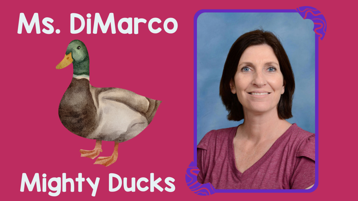 Ms. DiMarcos Mighty Ducks