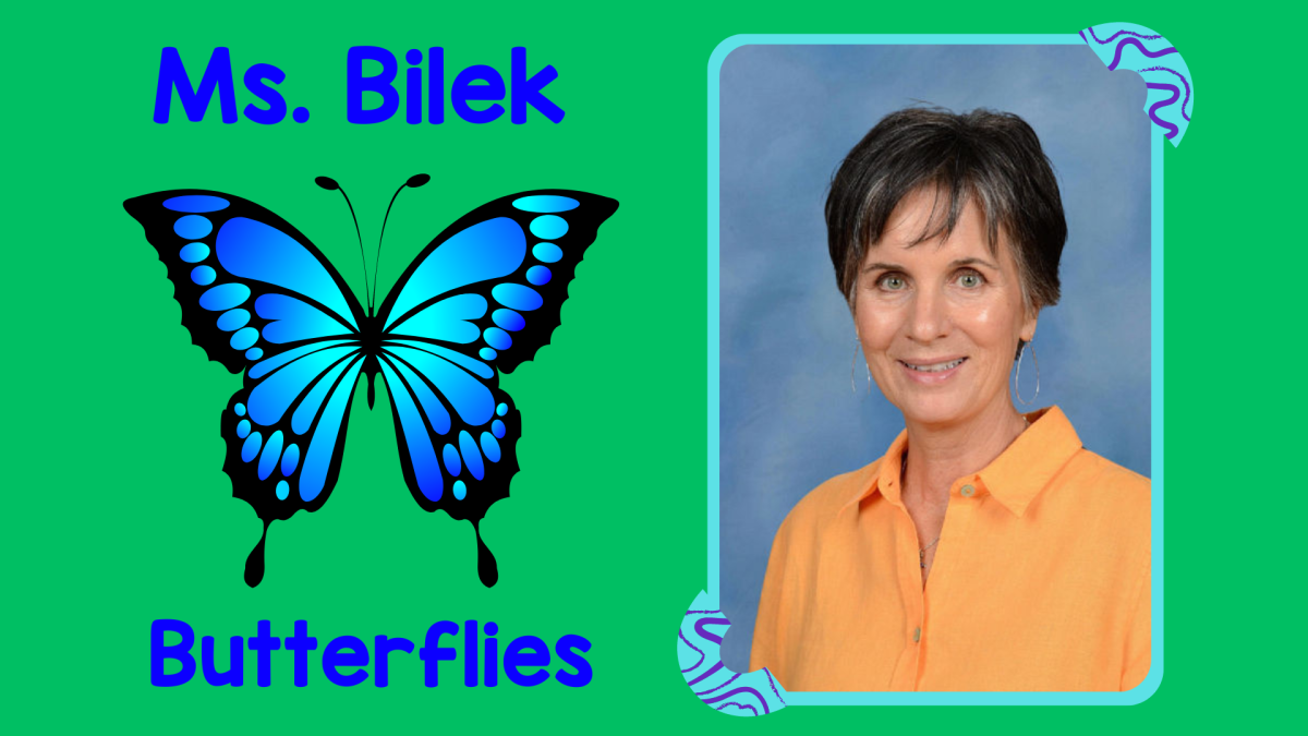 Ms. Bilek's Butterflies