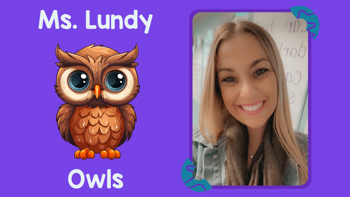 Ms Lundy's Owls