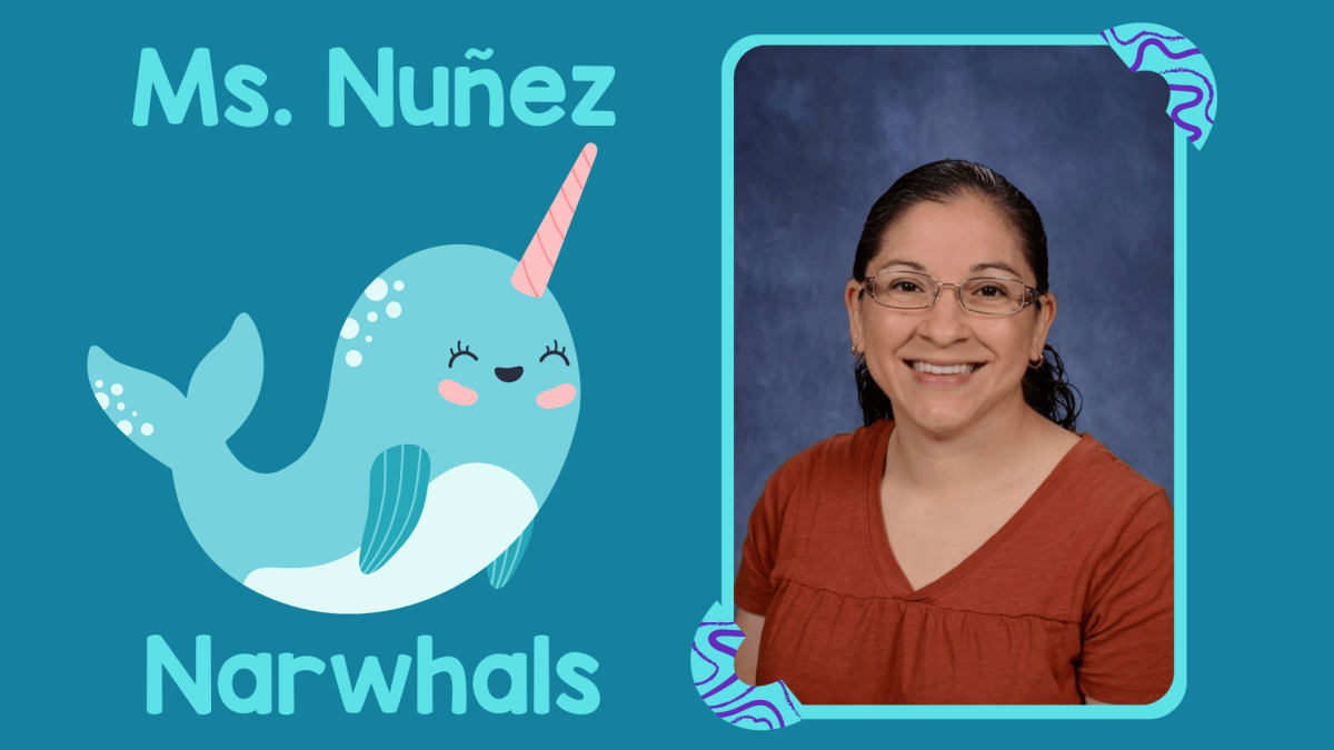 Ms. Nuñez's Narwhals