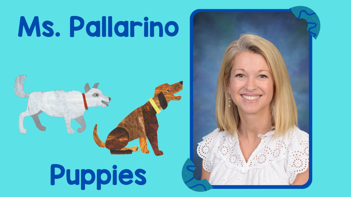Ms. Pallarino and Eric Carle's White Dog and Puppy