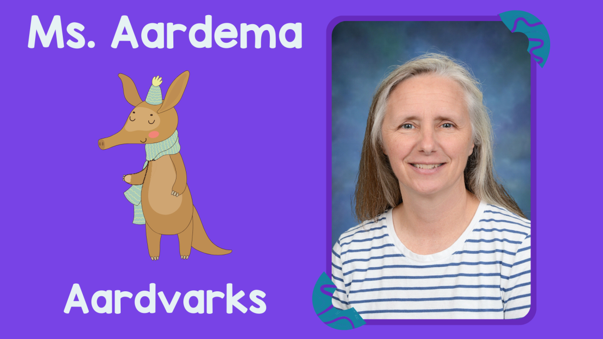 Ms. Aardema's Aardvarks