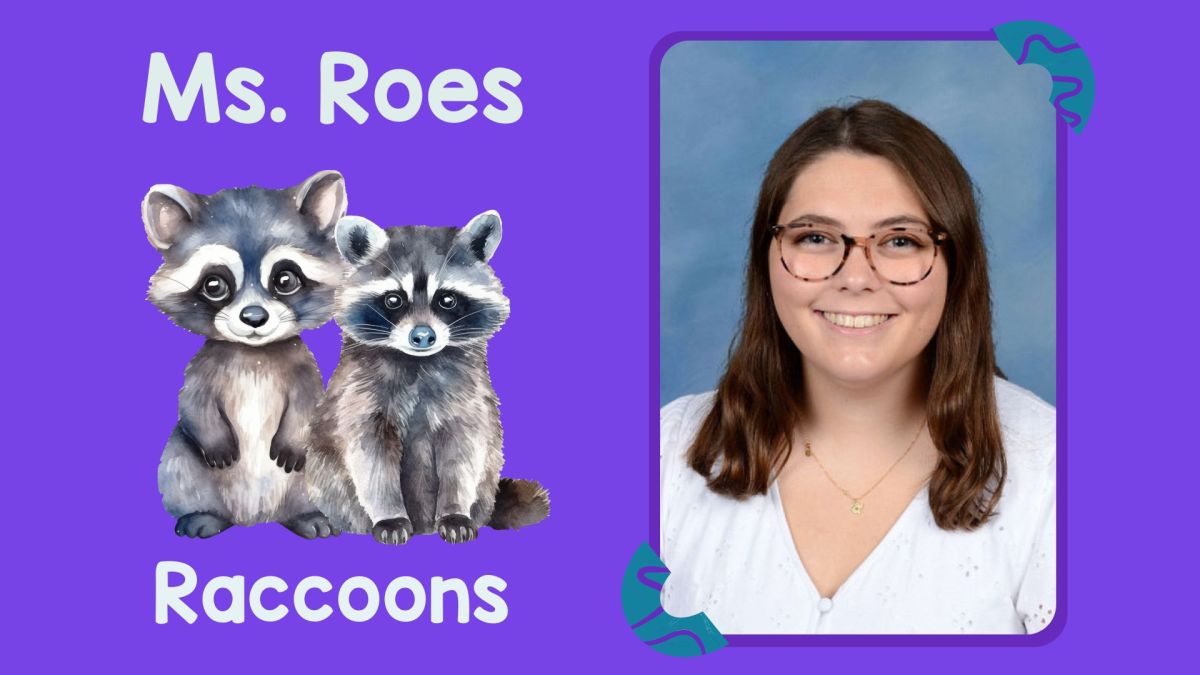 Ms. Roes Raccoons