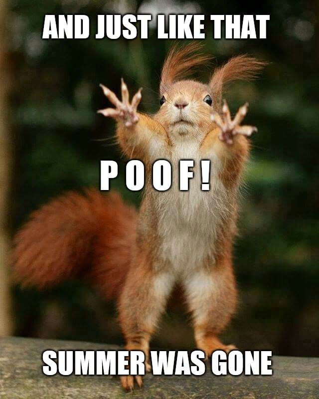 And poof... just like that, summer was over